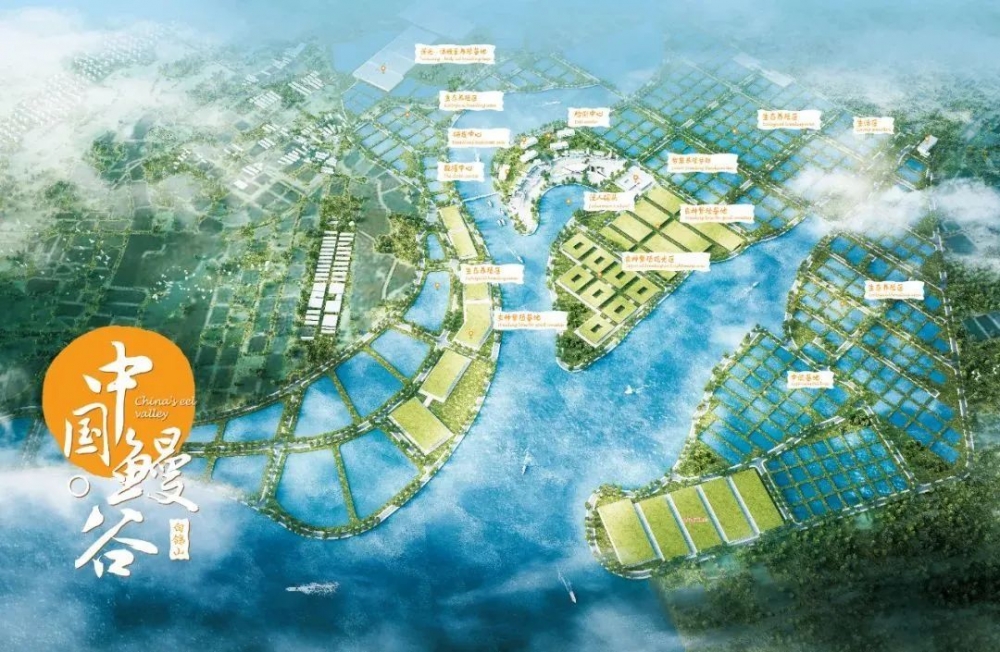 天马科技集团董事长陈庆堂先生荣膺“2024中国农业名片·十大领袖人物奖”,奏响鳗鱼产业富强乐章