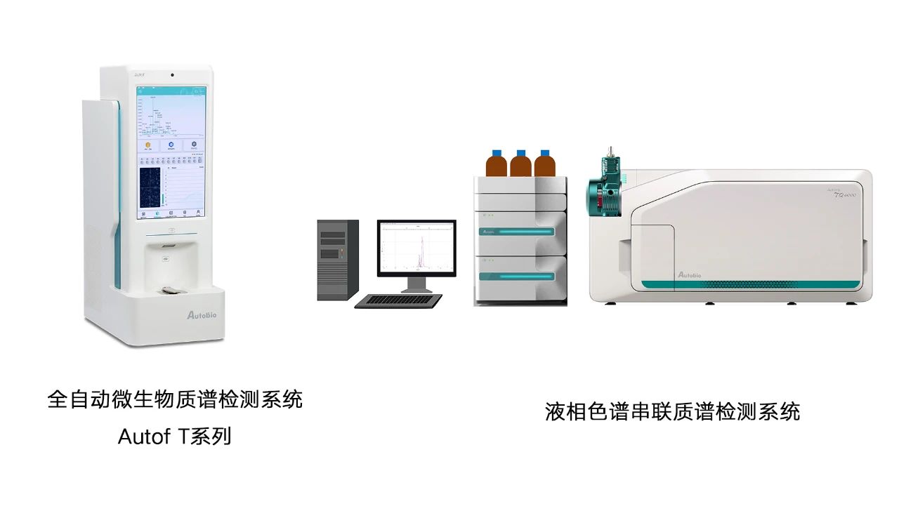 1735624292565055085.jpg 905f4d66906bf0b6ca32f9cd7451dbc3.jpg