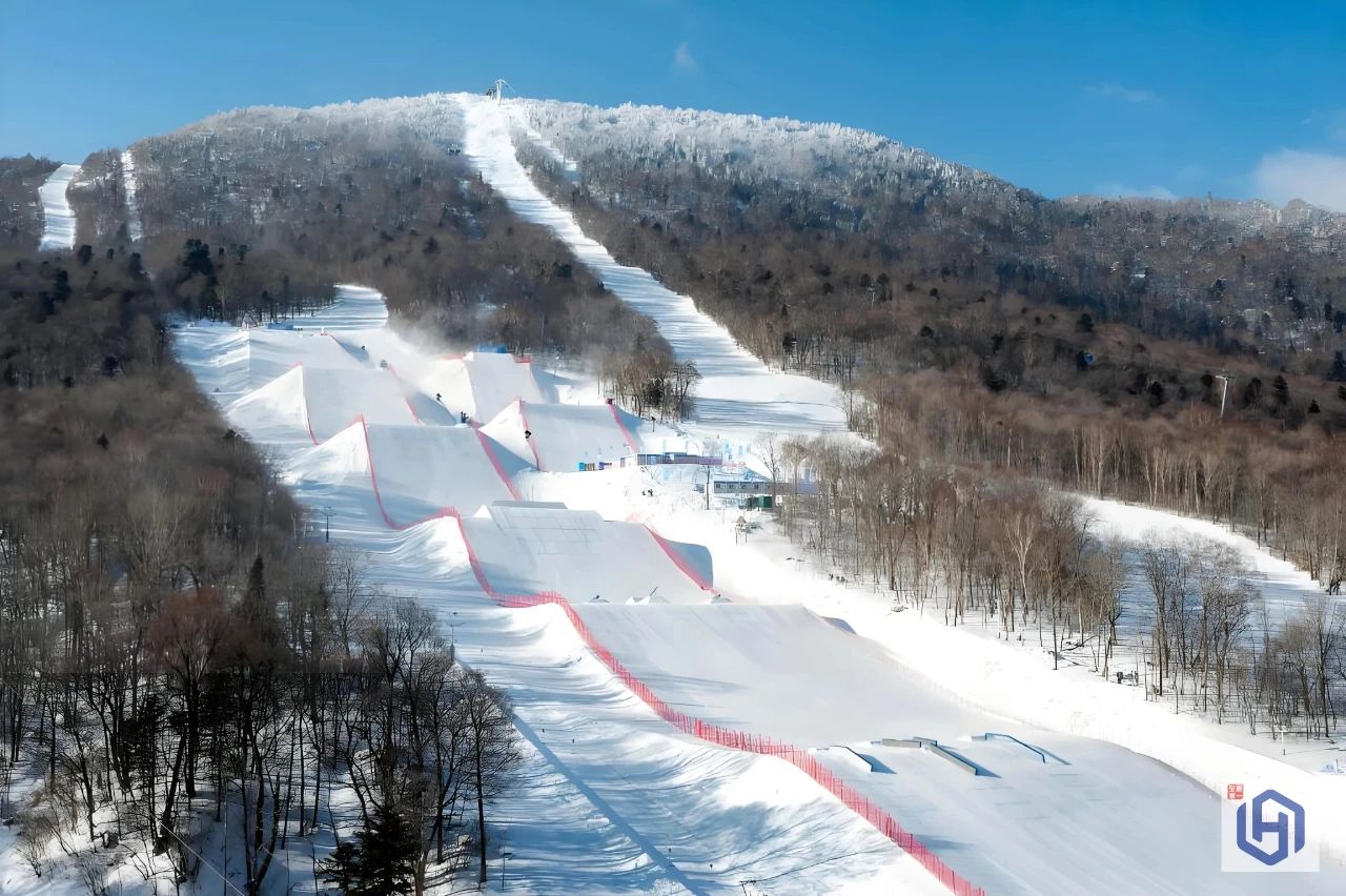 微信图片_20250213110318.jpg 315232c4187040699cda23ec737347ce.jpeg