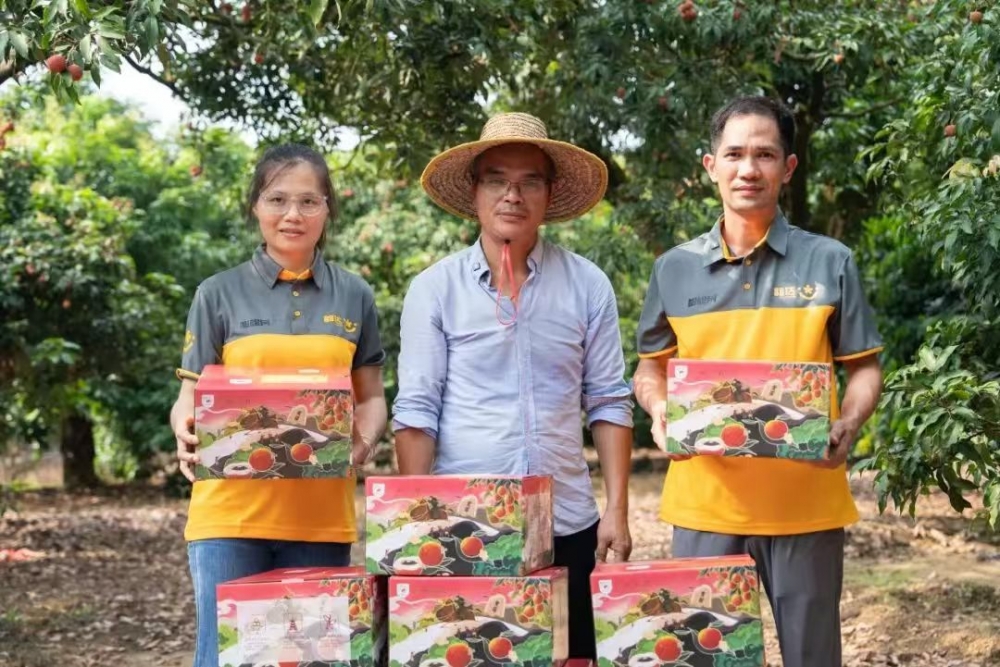 ϴɷũĿѡ2024й˾ʵ