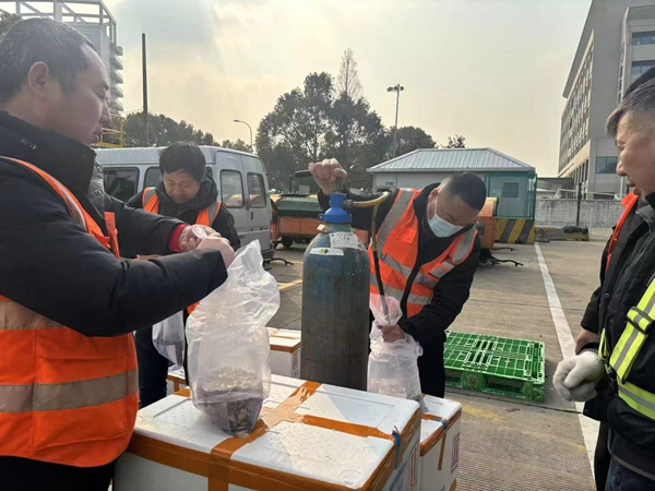 东航物流工作人员为观赏鱼补充充氧-东航物流供图