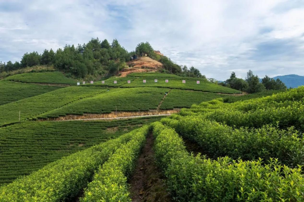 1740748010962535.png 图片2(1).png