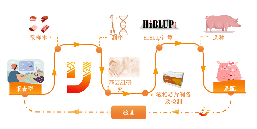 截屏2025-03-04 15.53.05.png