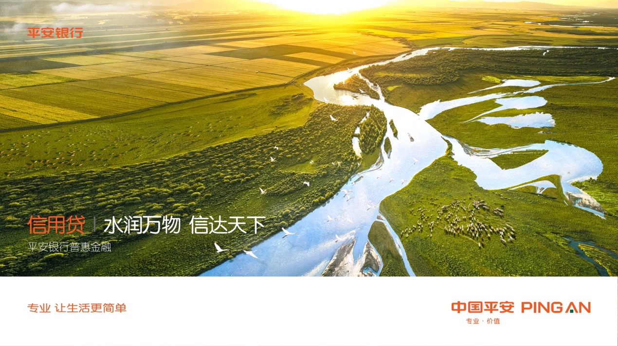 (百)百行千业兴普惠家国情――平安银行普惠金融产品全面升级-0310