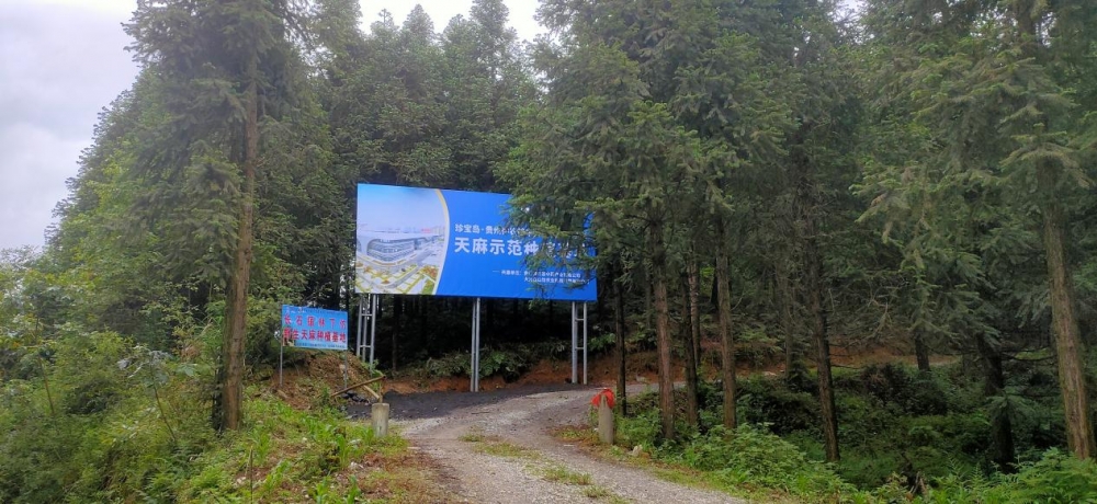 䱦ҩҵӿ칹ҩ+AIϵҽҩҵģͽ