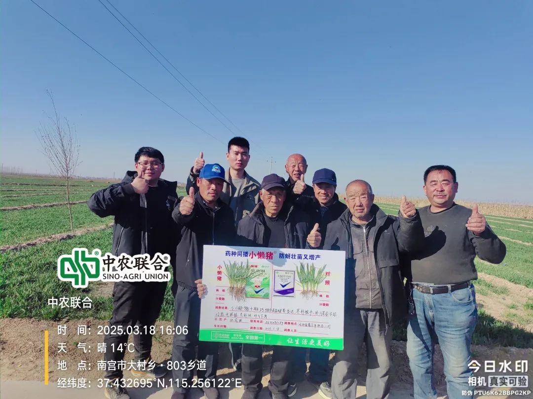 邢台3.jpg 邢台3.jpg