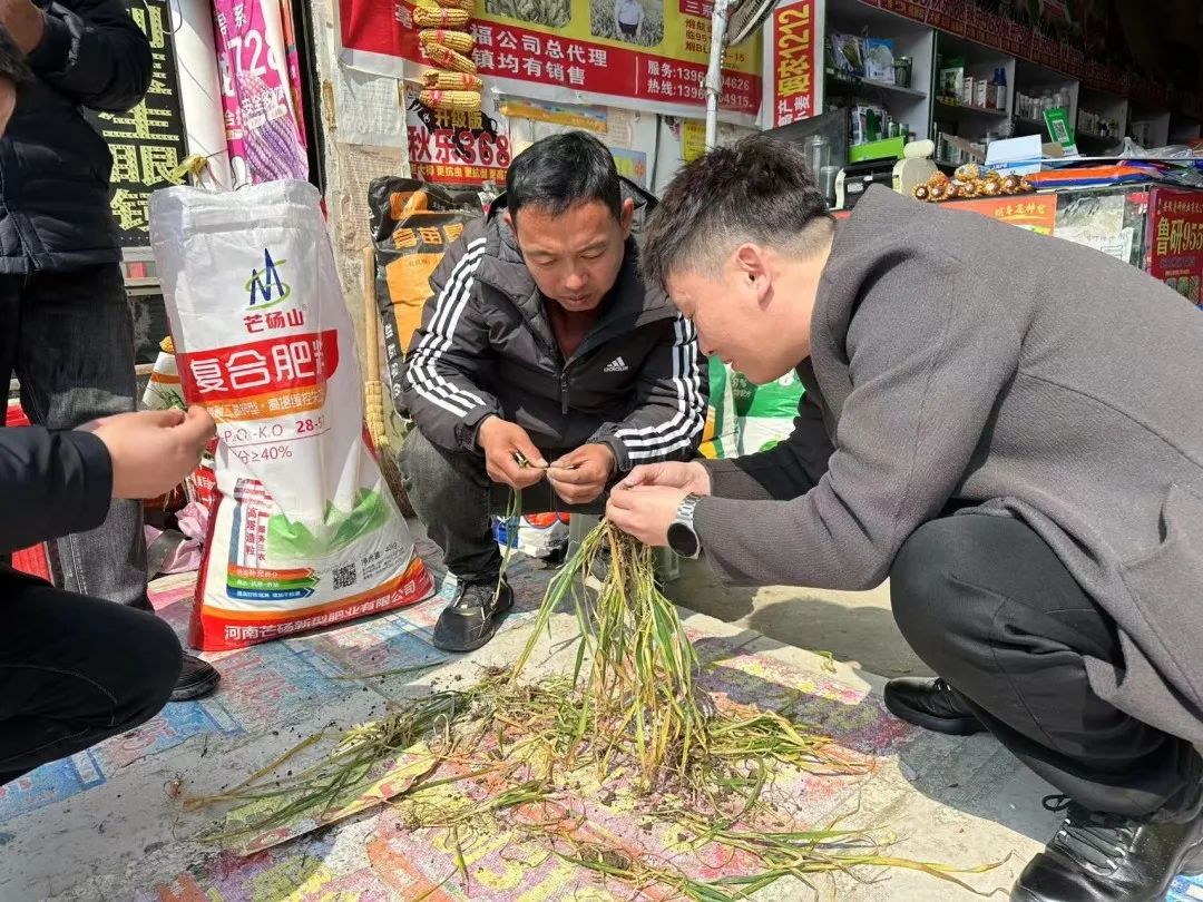 亳州1.jpg 亳州1.jpg