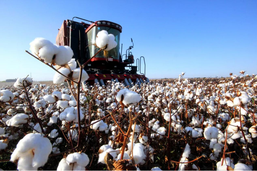 202503281329063.jpg 1743139580686.jpg