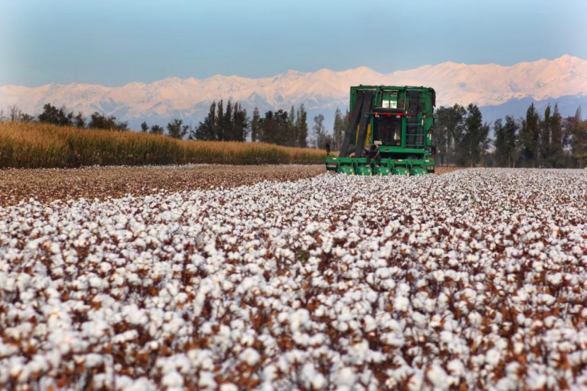 202503281328507.jpg 1743139564063.jpg