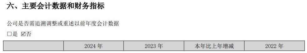 远光软件2024年年报部分数据