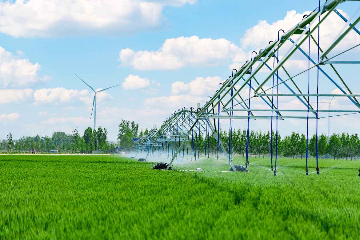 1743426967349315.png 图片1.png