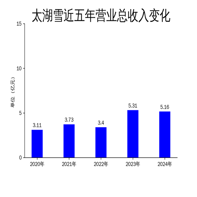 רг򵥣Ӫվ˫̫ѩ2024걨ʾƷƴʵ