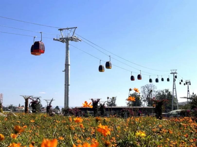 1744592241967201.png image.png