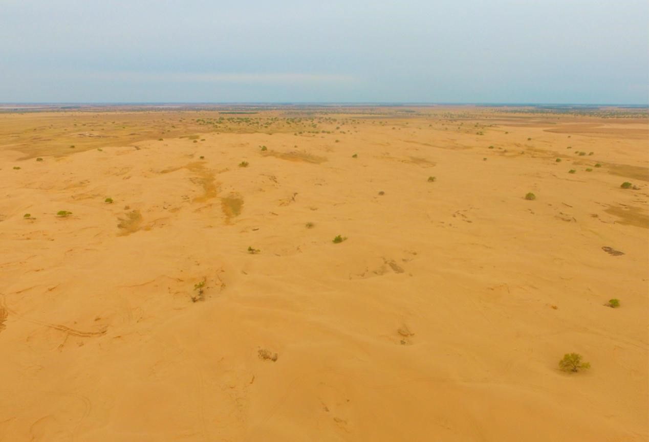 图片6.jpg 图片6.jpg