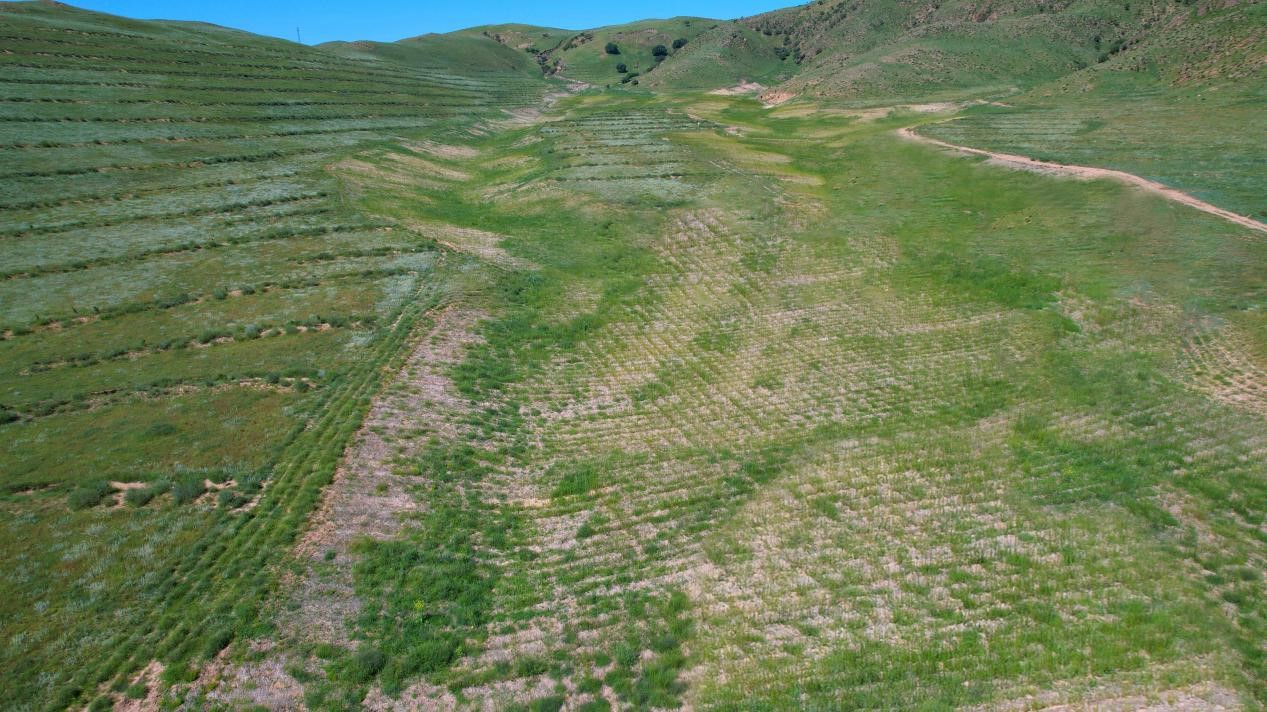 图片3.jpg 图片3.jpg