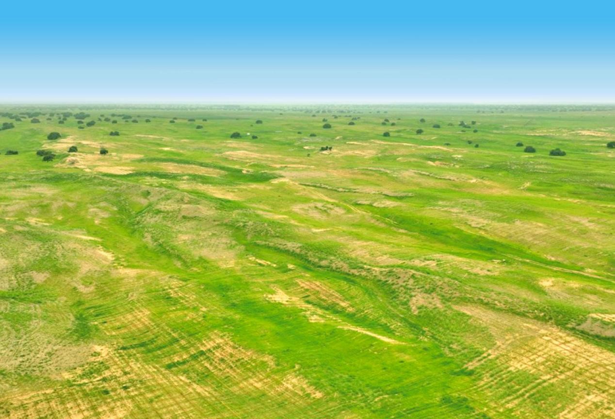 图片7.jpg 图片7.jpg