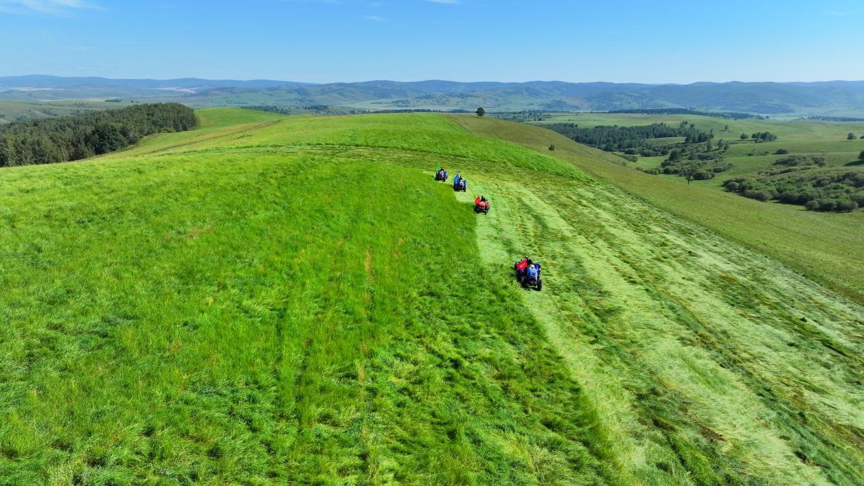 图片1.jpg 图片1.jpg