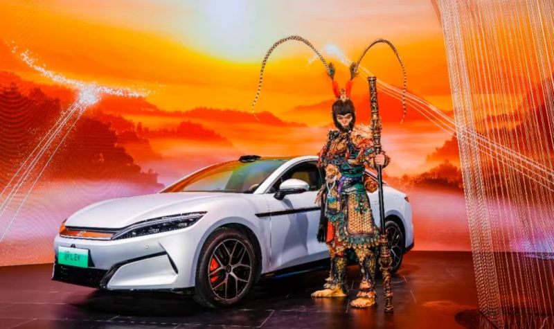 Dynasty-Dչ㣬ǵԡ¶ѧͻΧ40ԪԴս۽2025Ϻչ