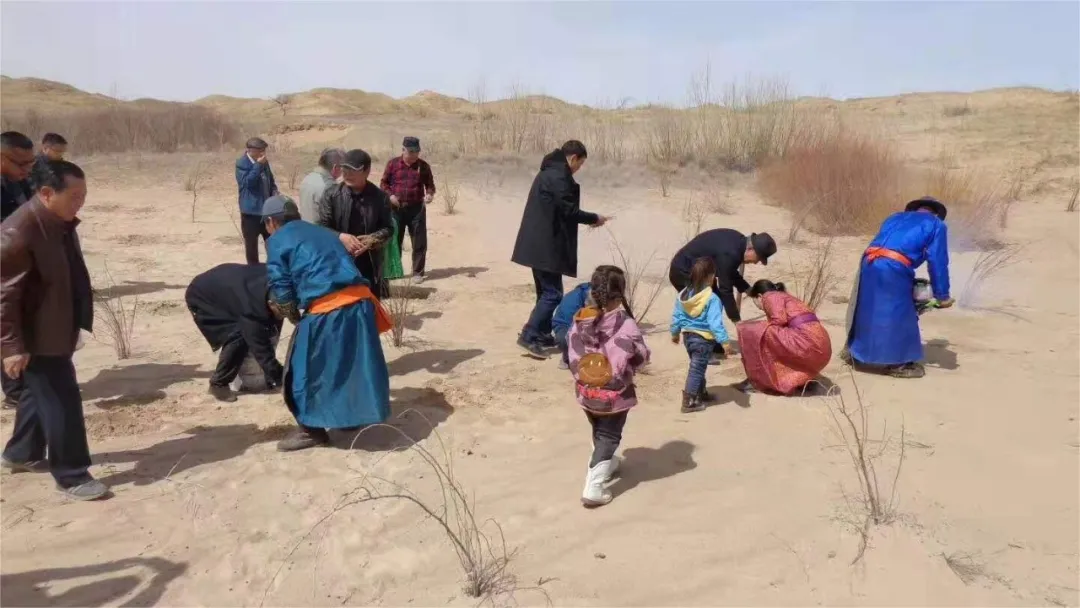 图片5.png 图片5.png