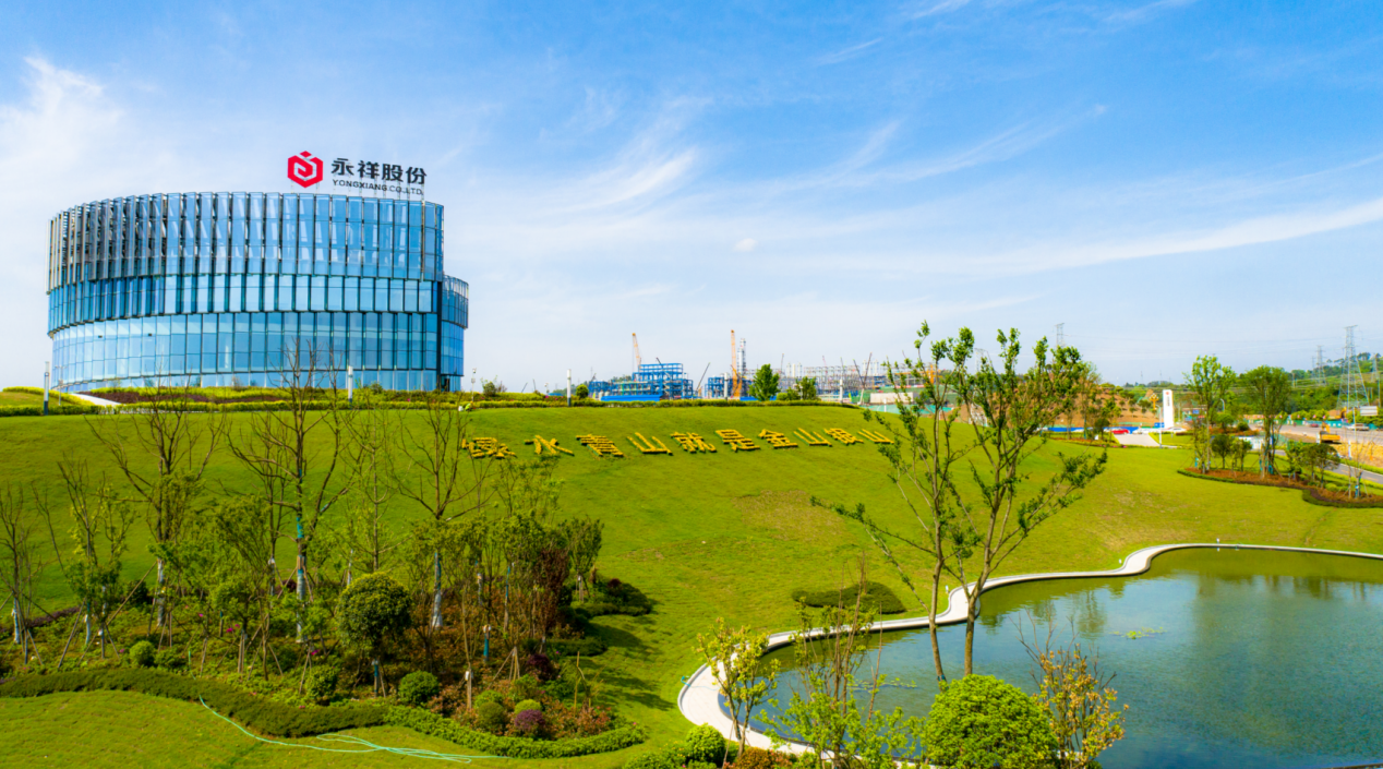 光伏行业重写竞争规则,这家公司如何逆周期前行?docx