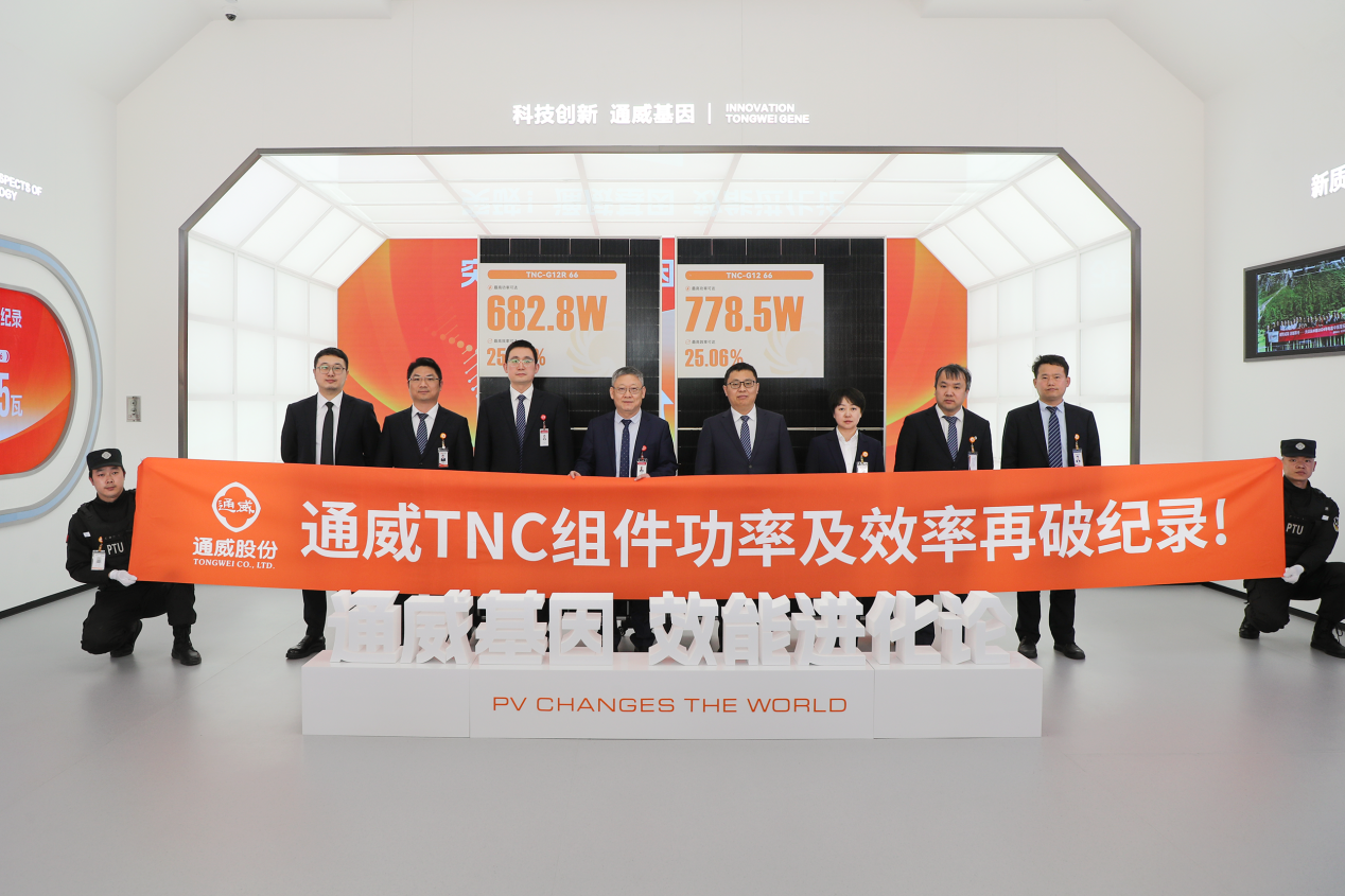 光伏行业重写竞争规则,这家公司如何逆周期前行?docx