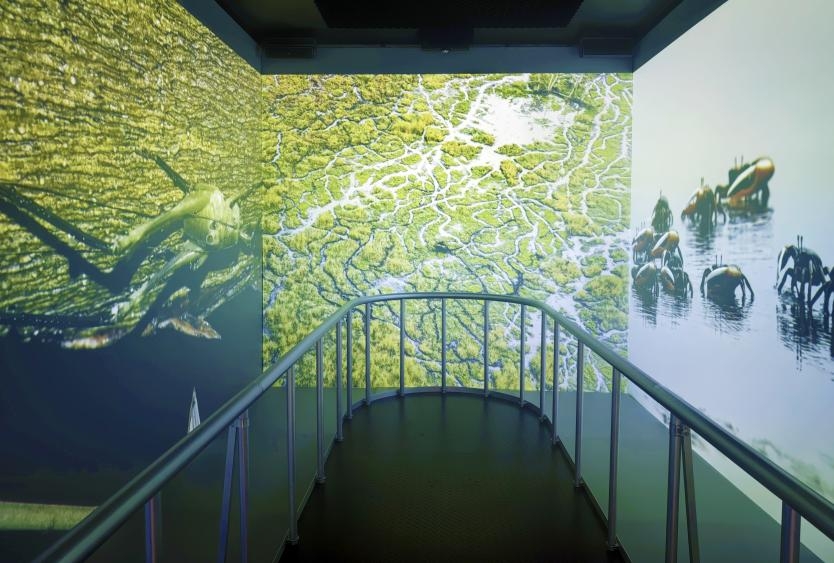 闪耀深圳活动周:光峰科技激光显示技术惊艳大阪世博会