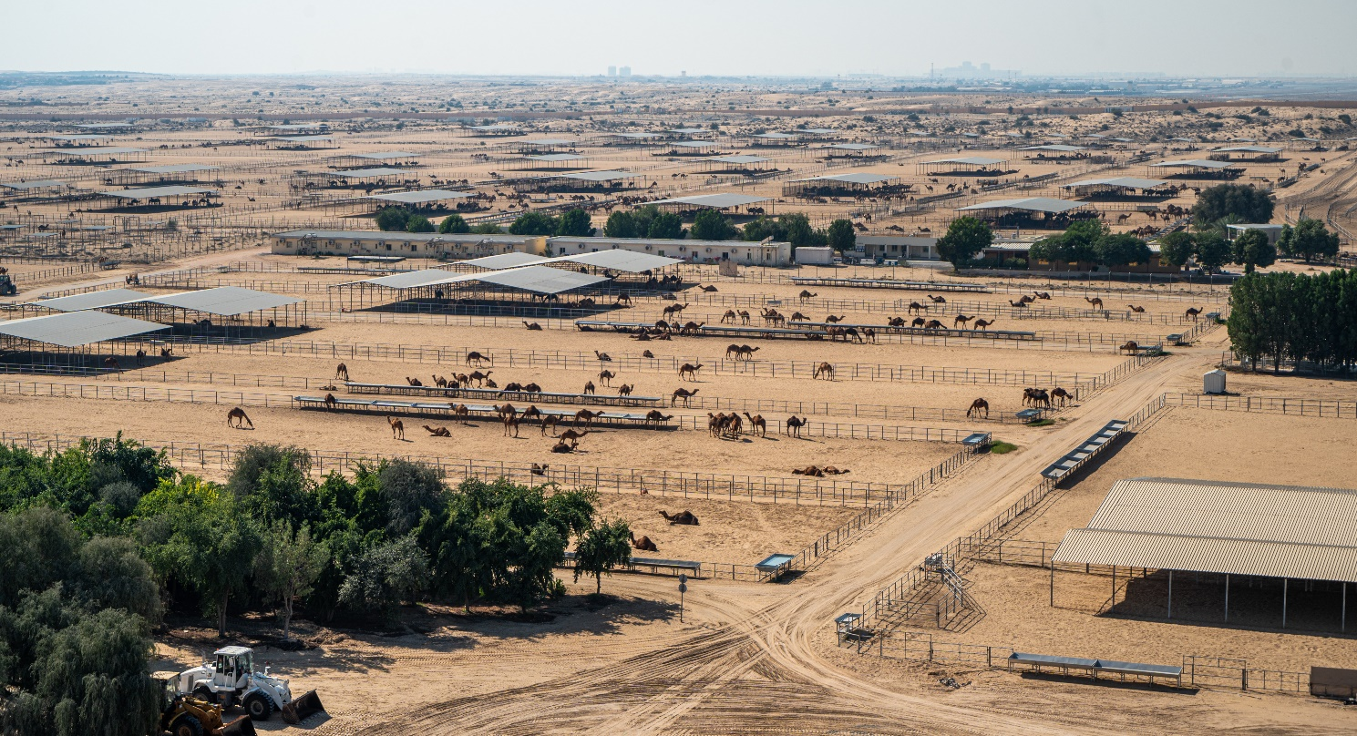 1748332381152355.png 图片2.png