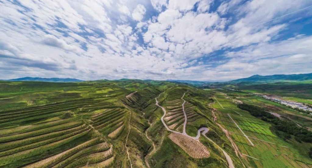 undefined 微信图片_20250626103127.png