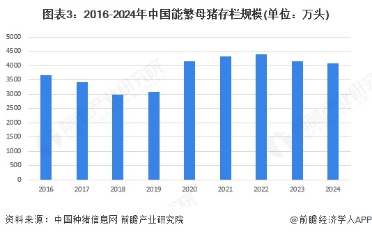 图表3：2016-2024年中国能繁母猪存栏规模(单位：万头)