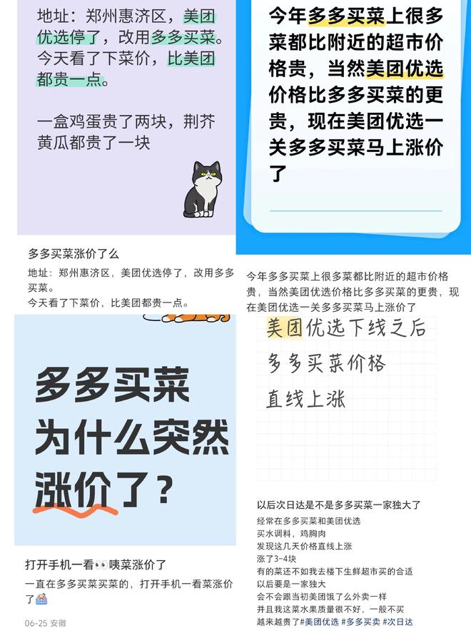 截图自小红书平台