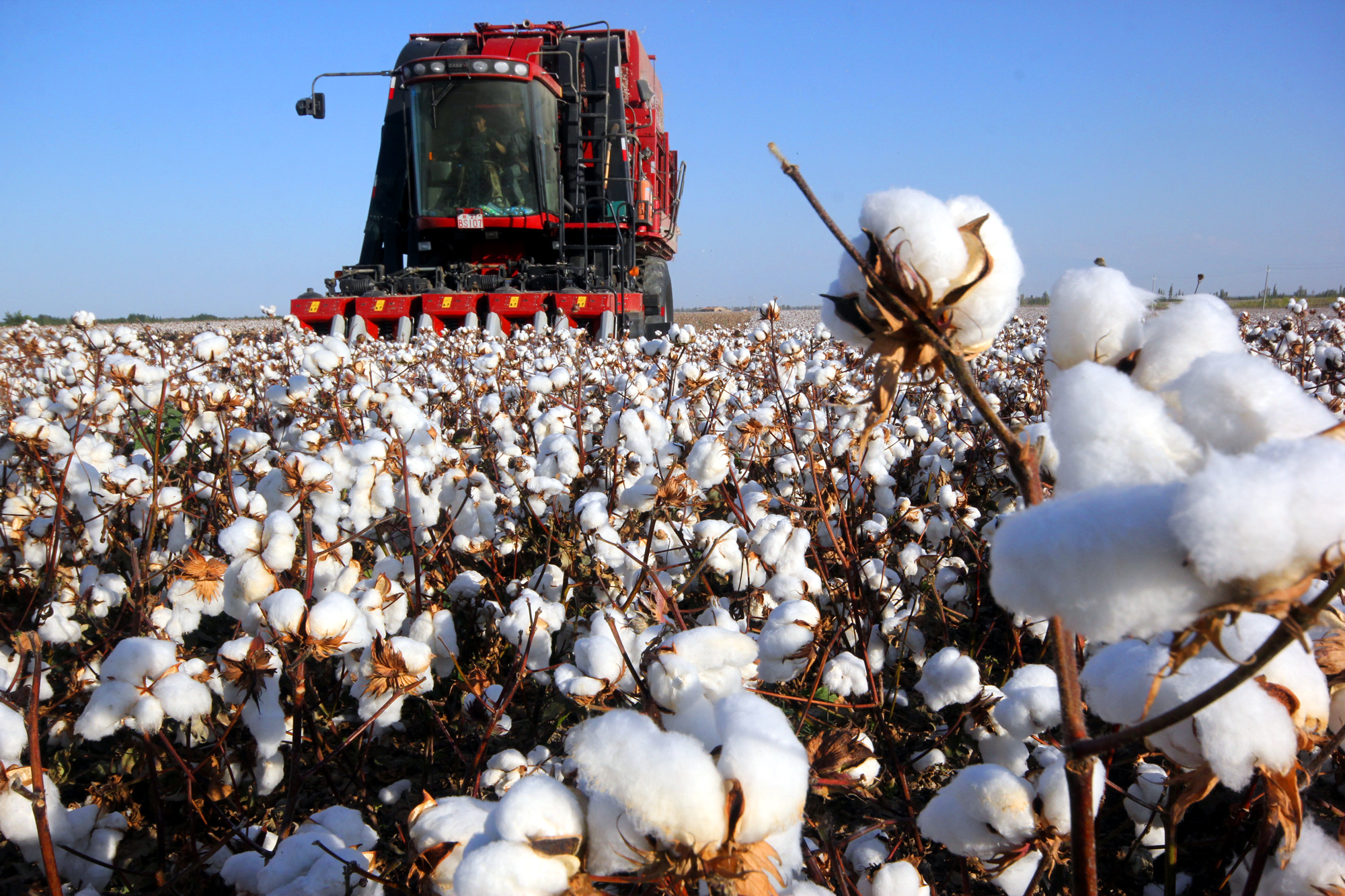 202508061322528.jpg 1.jpg