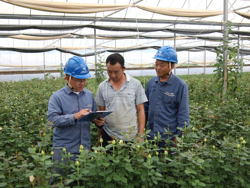 玉溪易门供电局工作人员向大棚种植户宣传安全用电知识。刘浏莎摄