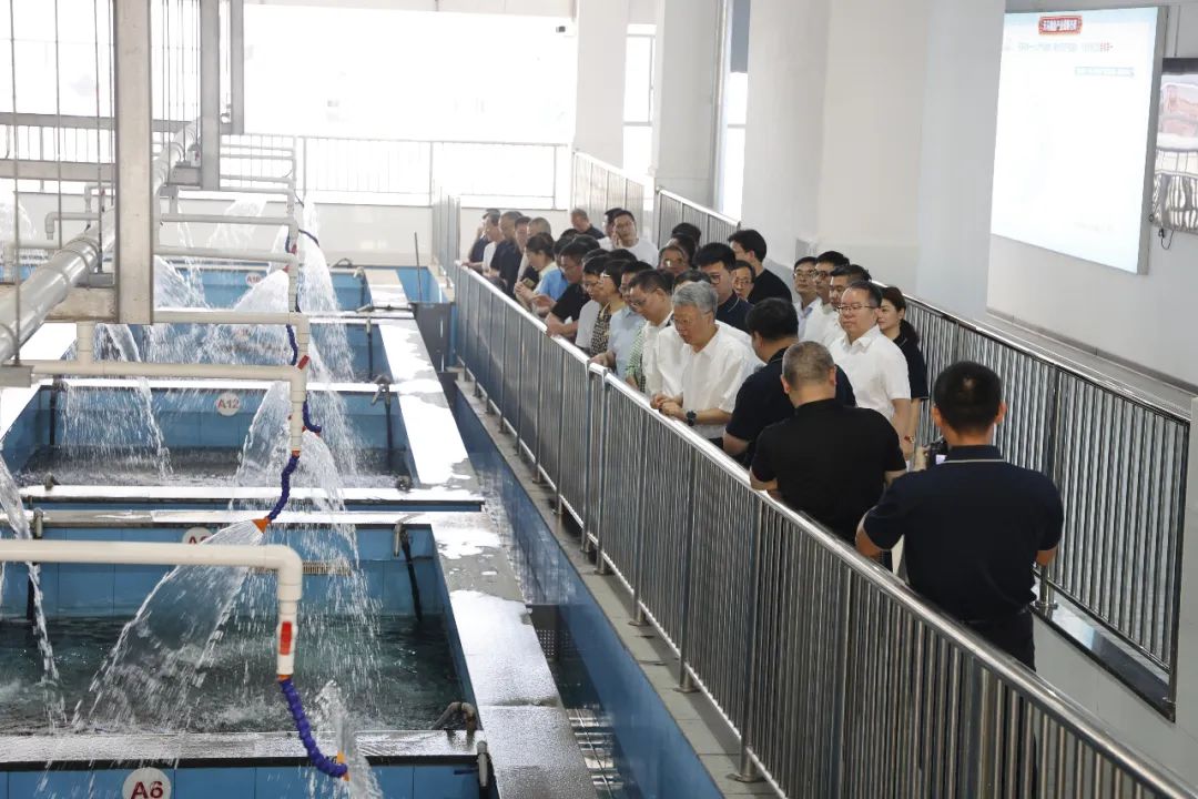 ƶִʩҵչ|ʡЭϯѲһݰƼſ