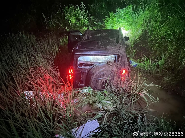 男子和女友开哈弗猛龙滚落80米悬崖二人仅手臂轻微擦伤！长城魏建军：万幸人没事