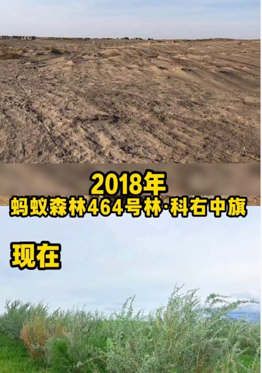 马云参观蚂蚁森林树已经长得比他高了他边吃西瓜边和种树人唠嗑