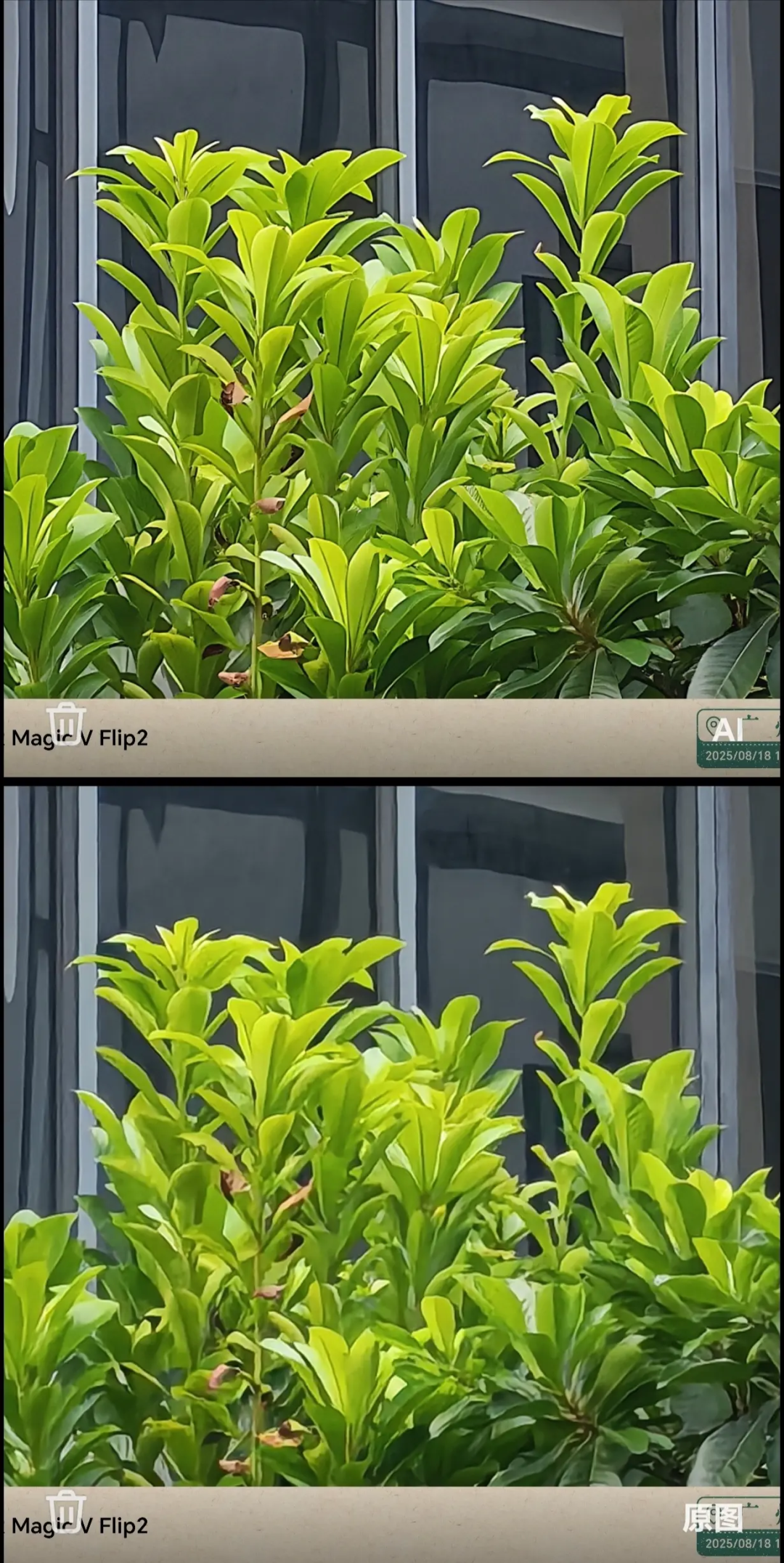 微信图片_20250820101857_230_85.png