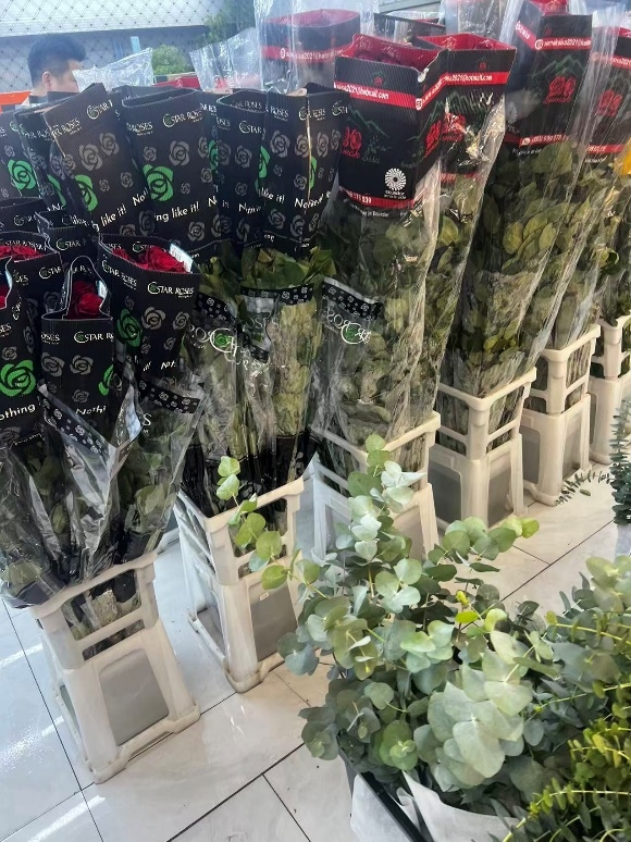 中国扩大进口厄瓜多尔玫瑰规模京东跃居成中国规模最大的进口及包销商