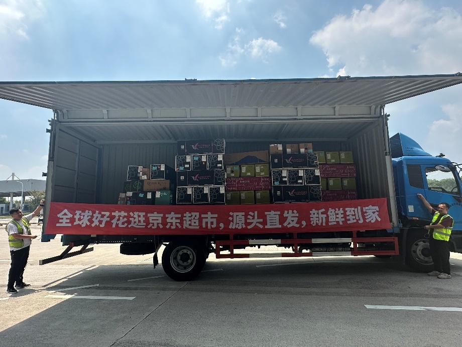 中国扩大进口厄瓜多尔玫瑰规模京东跃居成中国规模最大的进口及包销商