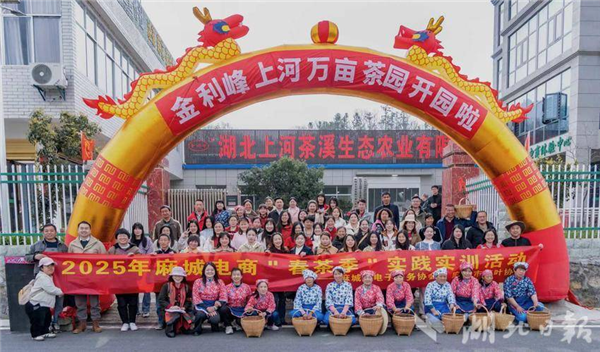 麻城市电子商务创业园荣膺全国“县域直播电商中心”典型_fororder_微信图片_20250822153736