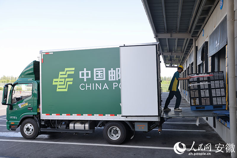 邮政冷链物流车将鲜果送进长集冷链集配中心冷库保鲜。人民网记者王晓飞摄