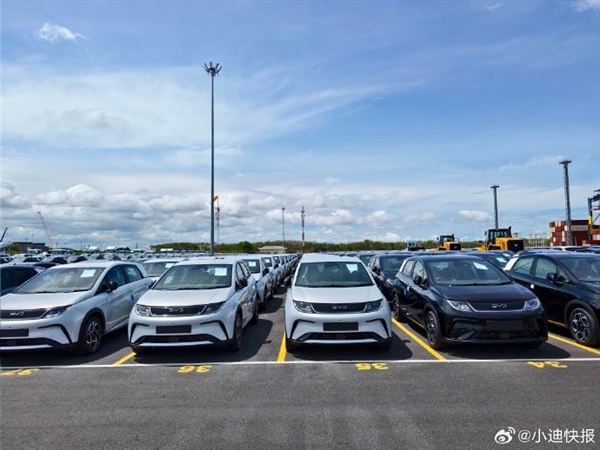 比亚迪泰国工厂首次出口电动车至欧洲近千辆海鸥列阵太壮观
