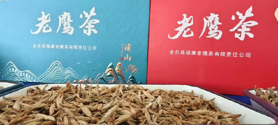会东老鹰茶之“芽子茶”。（戚原摄）