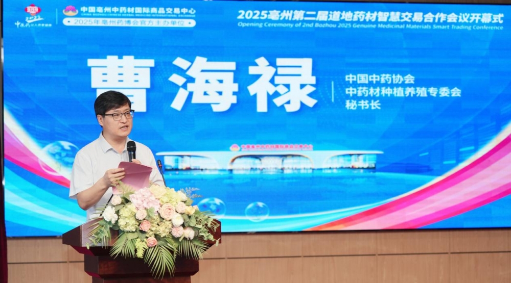 䱦ҩҵҩҵ쵼2025ݵڶҩǻ۽׺