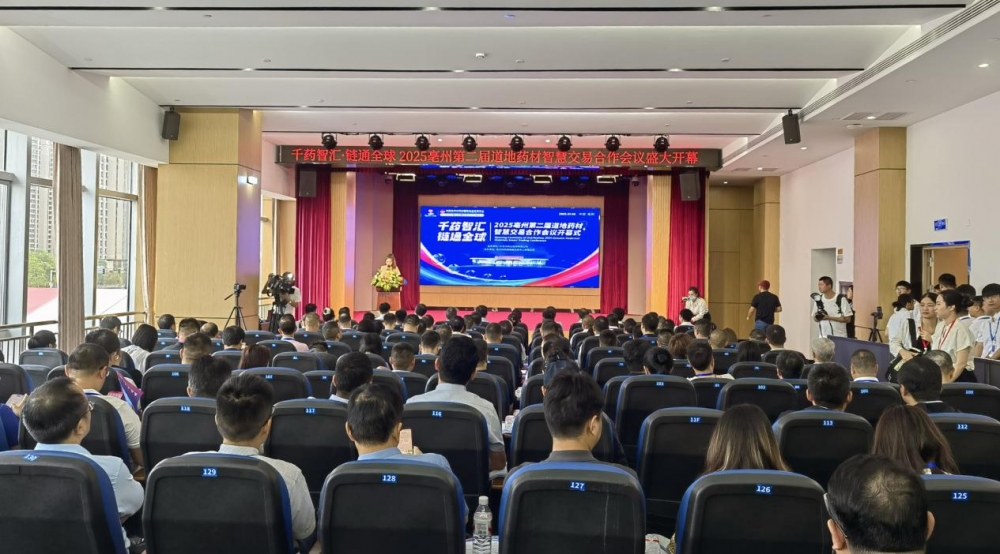 䱦ҩҵҩҵ쵼2025ݵڶҩǻ۽׺