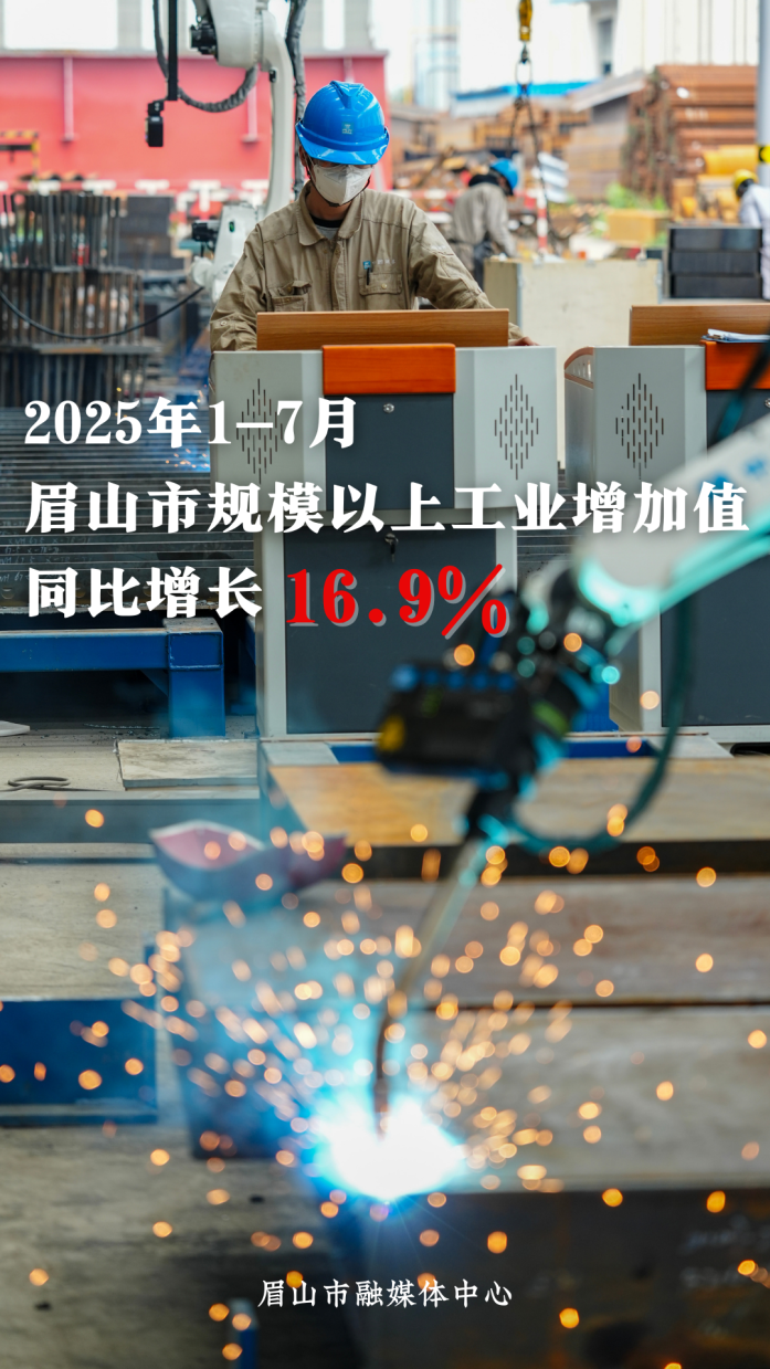 2025上半年GDP 副本.png