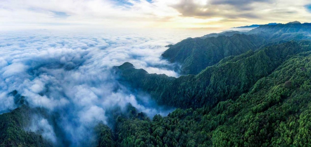 生态秘境,匠心雕琢:金徽酒的醇香之道