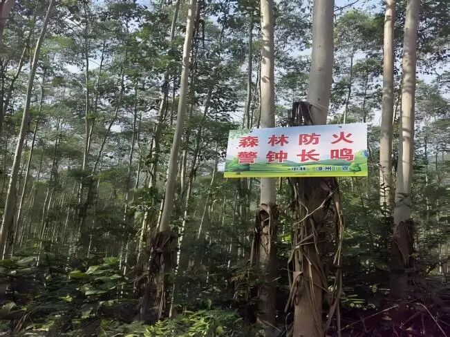 29-5-1.jpg 29-5-1.jpg