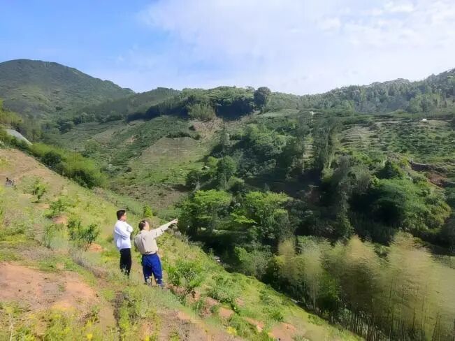 29-3-1.jpg 29-3-1.jpg