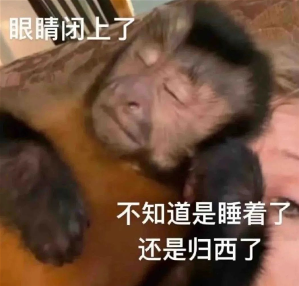高端化之后小米有了新的野心