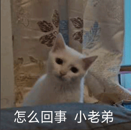高端化之后小米有了新的野心